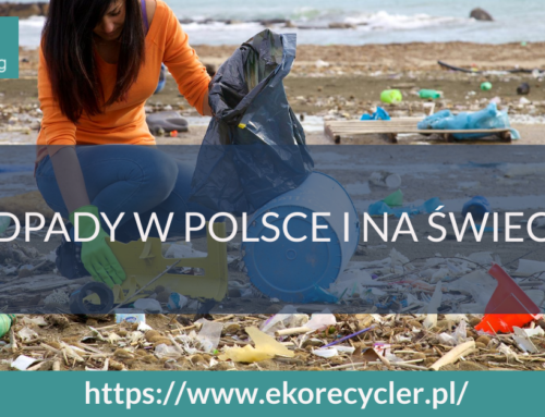 Odpady w Polsce i na świecie – jakie są statystyki?